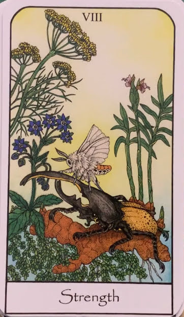 Nature Spirit Tarot